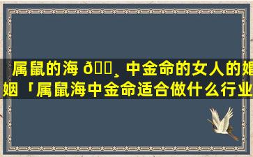 属鼠的海 🕸 中金命的女人的婚姻「属鼠海中金命适合做什么行业」